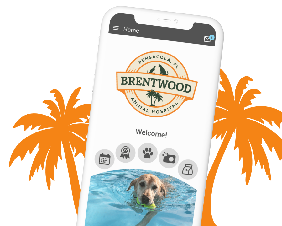 phone app